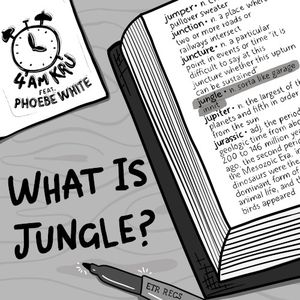 What Is Jungle? (Single)