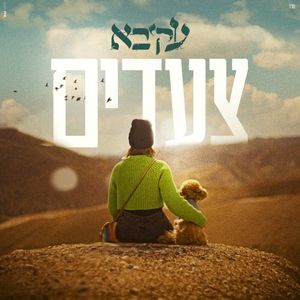 צעדים (Single)