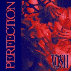 Perfection (Single Mix) (Single)