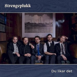 Du likar det (Single)