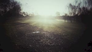 modd retinate