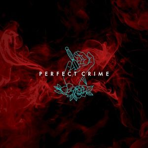 Perfect Crime (Single)