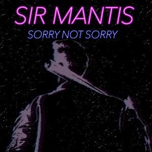 sorry not sorry (Single)