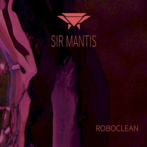 Roboclean (Single)
