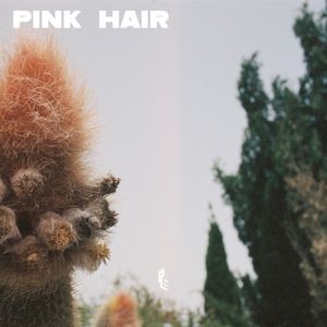 Pink Hair (Single)