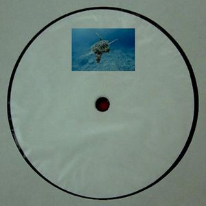 Sea turtle migration (Single)