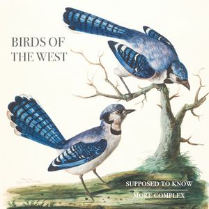 More Complex (Single)