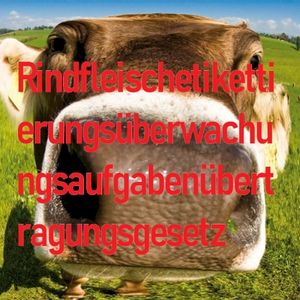 Rindfleischetikettierungsüberwachungsaufgabenübertragungsgesetz (Single)