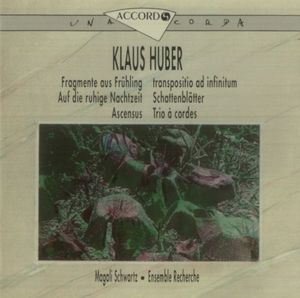 Auf die ruhige Nachtzeit: 3. Poco agitato