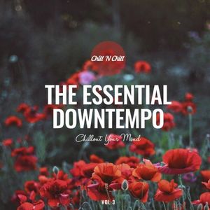 The Essential Downtempo, Vol. 3: Chillout Your Mind