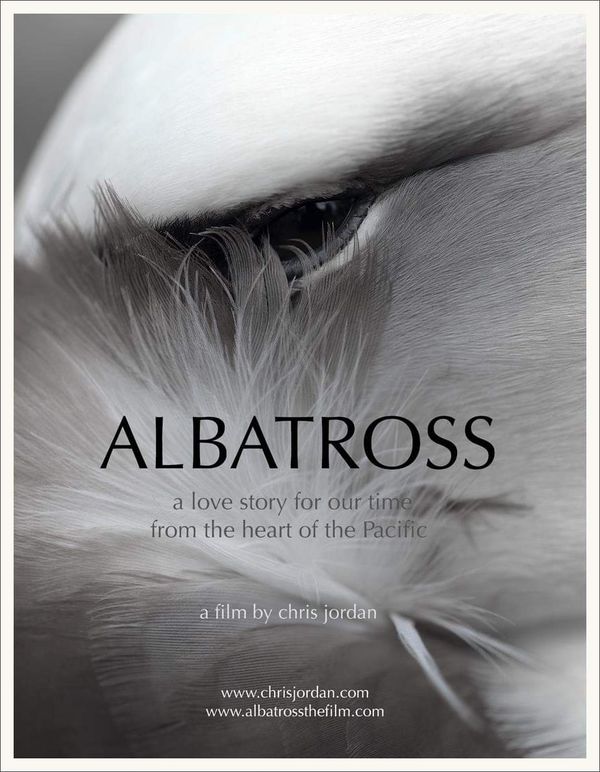 Albatross