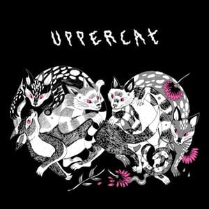 Uppercat