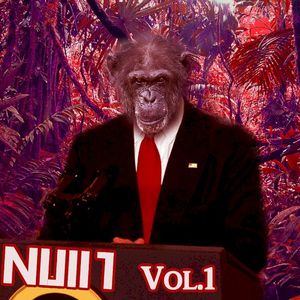 NUll1 Vol. 01