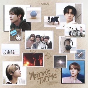 Marine Turtle - NCT LAB (Single)