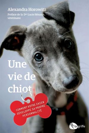 Une vie de chiot : Comment votre chien développe sa propre personnalité