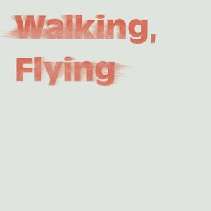 Walking, Flying