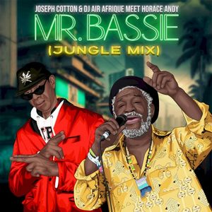 Mr. Bassie (Jungle mix) (Single)