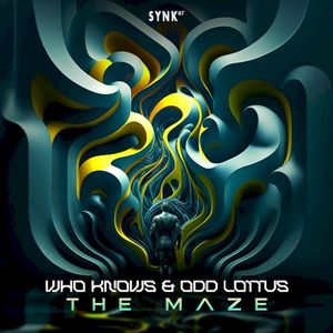 The Maze (Single)