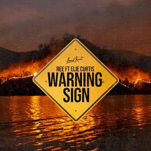 Warning Sign (Single)