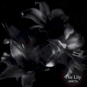 The Lily (Single)