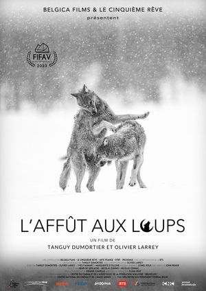 L’affût aux loups