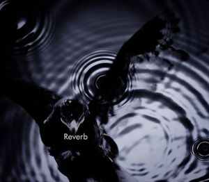 Reverb (Single)