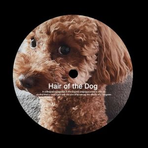 Hair of the Dog (Single)