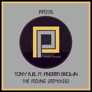 The Feeling (Remixes)