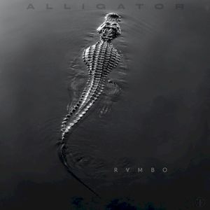Alligator (Single)