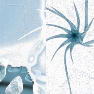 Arctic Beats 2 (EP)