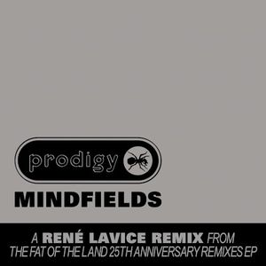 Mindfields (René Lavice remix)
