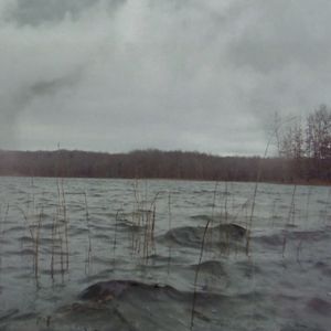 2017 (Single)