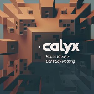 House Breaker / Don’t Say Nothing (Single)