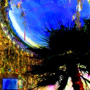 Rainforest Plaza (EP)