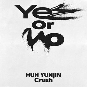 Yes or No (Single)