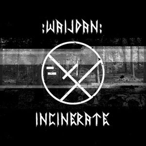 Incinerate (Acylum remix)