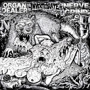 Organ Dealer / Nerve Grind / Invertebrate (EP)