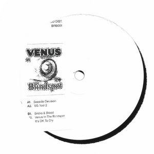 Venus In The Blindspot (EP)