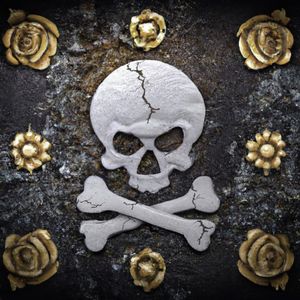 Skull n Bones (Single)