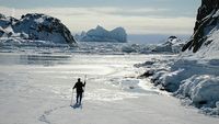 Arctique-Antarctique : le monde des pôles