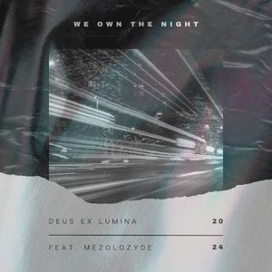 We Own the Night (Single)