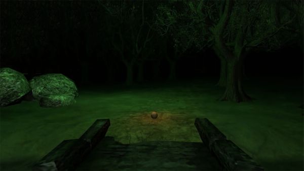 Swamp Sim