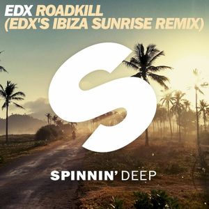 Roadkill (EDX radio mix)