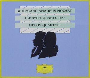 The 6 Haydn Quartets