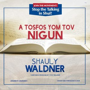 A Tosfos Yom Tov Nigun (Single)