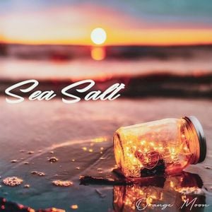 Sea Side (feat. Blacknintendo)