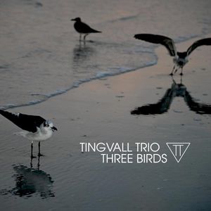 Three Birds (Single)