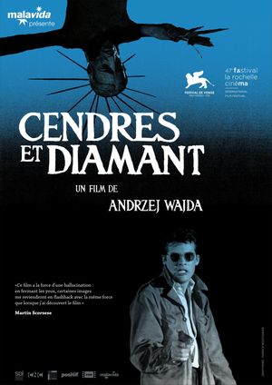 Cendres et diamant