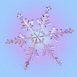 snow love (Single)