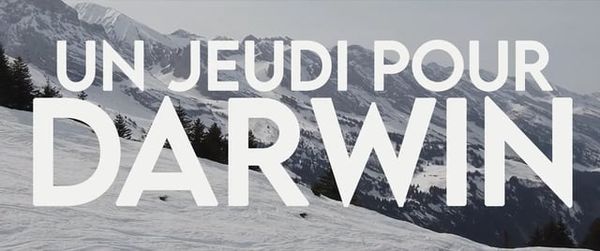 Un jeudi pour Darwin